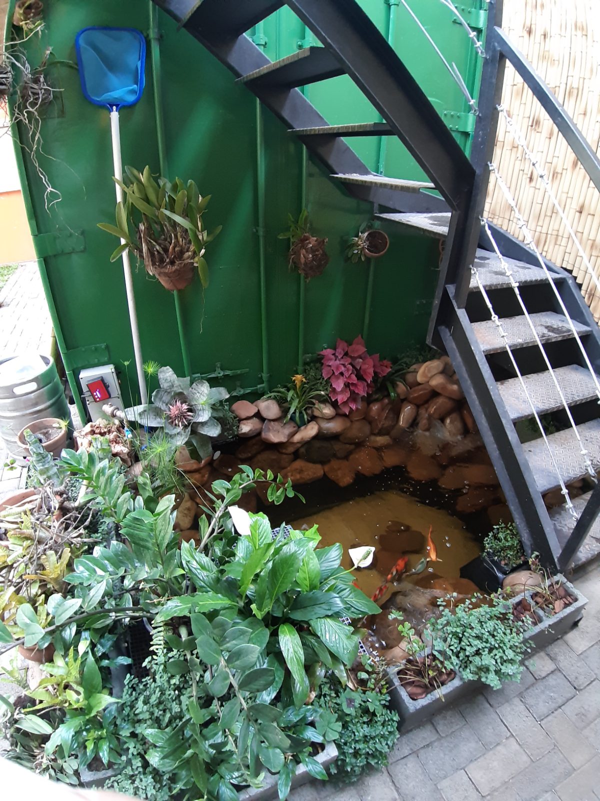 Koi pond and garden beside the green container