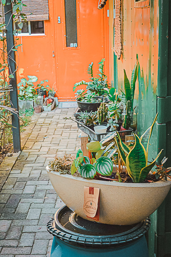 Orange container door framed by potted plants